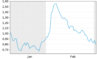 Chart Mini Future Short PVA TePla - 6 Monate