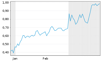 Chart Mini Future Long Chevron - 6 Monate