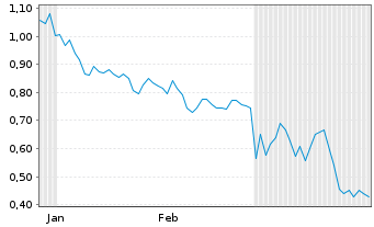 Chart Mini Future Short Chevron - 6 Monate