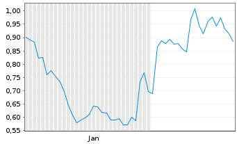 Chart Mini Future Long Carnival - 6 Months