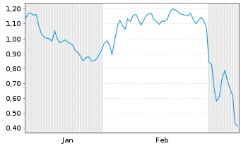 Chart Mini Future Long Industria de Diseno Textil - 6 Monate