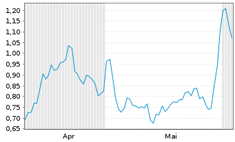 Chart Mini Future Long Palantir - 6 Monate