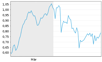 Chart Mini Future Long Shell - 6 Monate