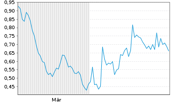 Chart Mini Future Short Shell - 6 Monate