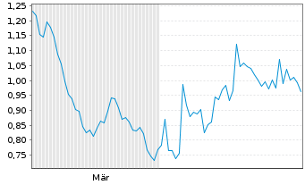 Chart Mini Future Short Shell - 6 Monate