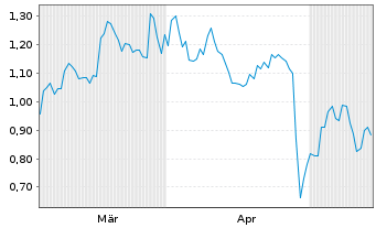 Chart Mini Future Short Visa - 6 Months