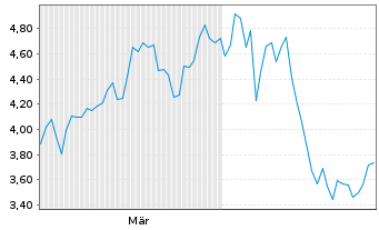 Chart Mini Future Short Adyen - 6 Monate