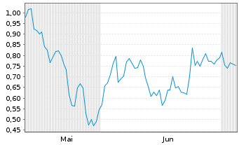 Chart Mini Future Short Puma - 6 Months