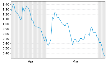 Chart Mini Future Long BMW - 6 Monate