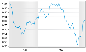 Chart Mini Future Short Nike - 6 Monate