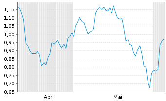 Chart Mini Future Short Nike - 6 Monate