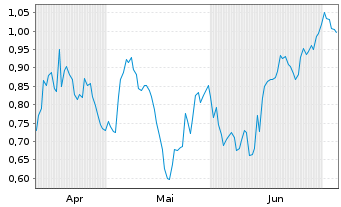 Chart Mini Future Short Chevron - 6 Monate