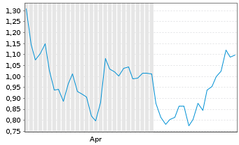 Chart Mini Future Short Adobe - 6 Months