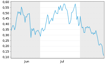 Chart Mini Future Long Puma - 6 Months