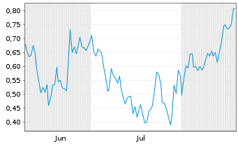 Chart Mini Future Short Puma - 6 Months