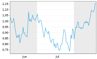 Chart Mini Future Short Puma - 6 Months