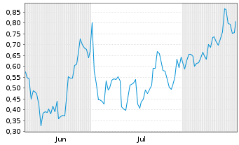 Chart Mini Future Short Nike - 6 Months