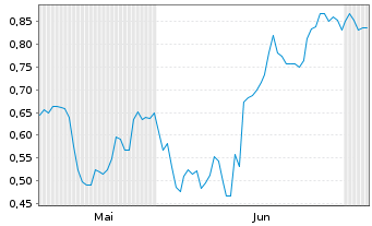 Chart Mini Future Short Shell - 6 Months