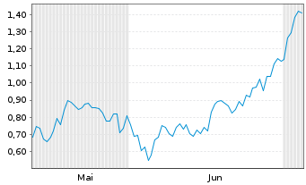 Chart Mini Future Long Visa - 6 Months