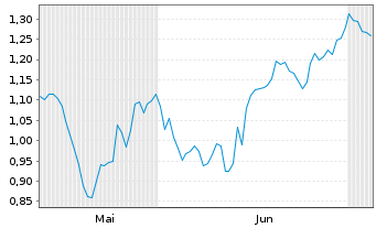 Chart Mini Future Short Chevron - 6 Monate