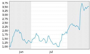 Chart Mini Future Long Adyen - 6 Monate