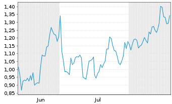 Chart Mini Future Short Nike - 6 Months