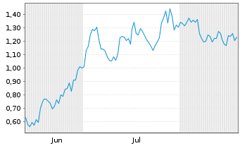 Chart Mini Future Long Visa - 6 Months