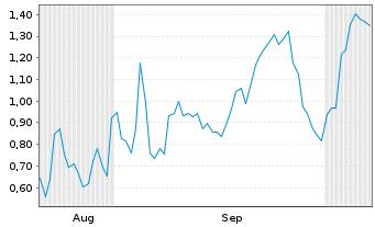 Chart Mini Future Long Tesla - 6 Monate