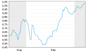 Chart Mini Future Long Palantir - 6 Months