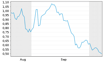 Chart Mini Future Short Palantir - 6 Months