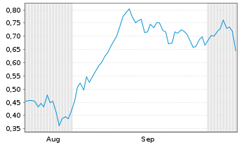Chart Mini Future Short Puma - 6 Months