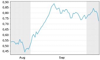 Chart Mini Future Short Puma - 6 Months