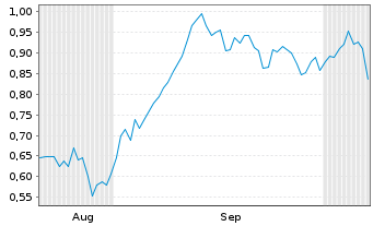 Chart Mini Future Short Puma - 6 Months