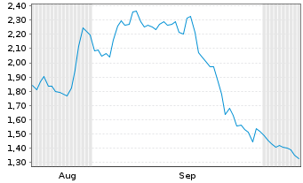 Chart Mini Future Long BMW - 6 Monate
