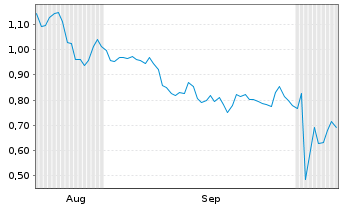 Chart Mini Future Long Nike - 6 Months