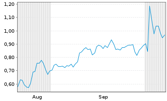 Chart Mini Future Short Nike - 6 Months