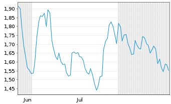 Chart Mini Future Long BMW - 6 Monate
