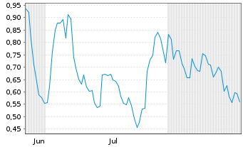 Chart Mini Future Long BMW - 6 Monate