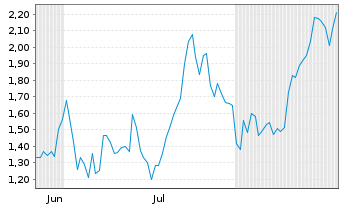 Chart Mini Future Short LVMH - 6 Monate