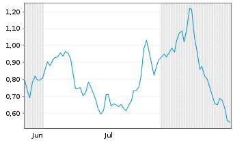 Chart Mini Future Long Berkshire Hathaway - 6 Monate