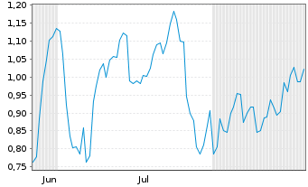 Chart Mini Future Short BMW - 6 Monate