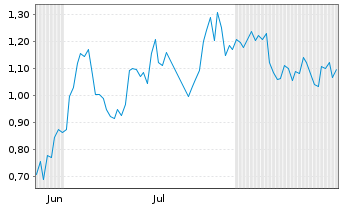 Chart Mini Future Long Visa - 6 Months