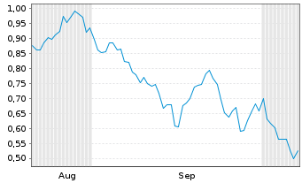 Chart Mini Future Short Shell - 6 Months