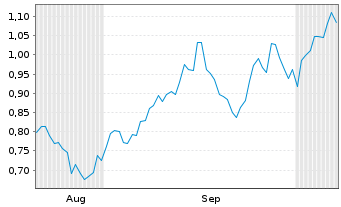 Chart Mini Future Long Shell - 6 Months