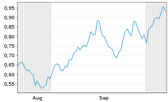 Chart Mini Future Long Shell - 6 Months
