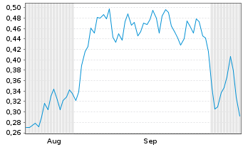 Chart Mini Future Long ING - 6 Months