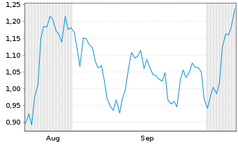 Chart Mini Future Long Visa - 6 Months