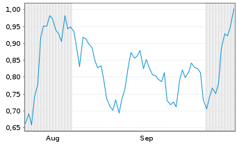 Chart Mini Future Long Visa - 6 Months