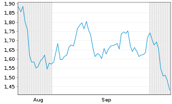 Chart Mini Future Short Visa - 6 Months