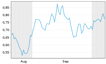 Chart Mini Future Long Chevron - 6 Monate